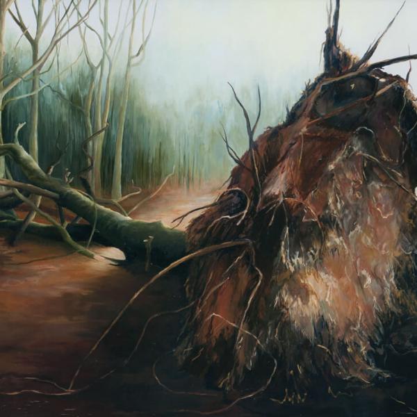 Natuurlijke kracht IV